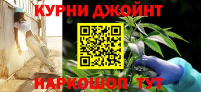 сатива Конаково