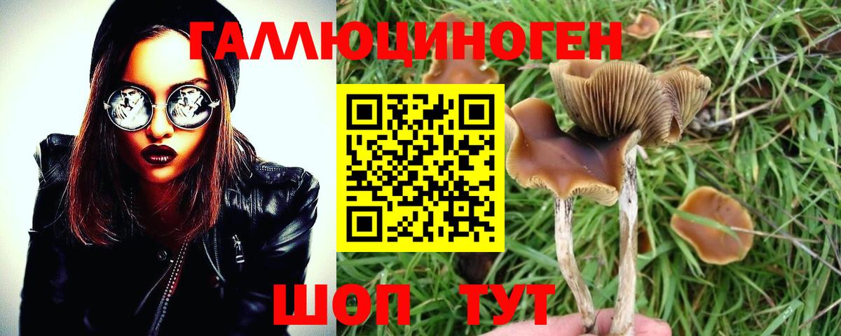 Псилоцибиновые грибы GOLDEN TEACHER  Вход с VPN  Кисловодск 