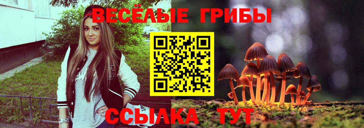 COCAIN Кисловодск